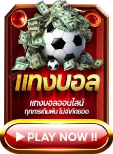 แทงบอล